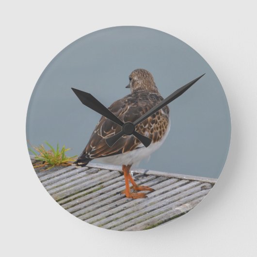Steenloper Ronde Klok (Voorkant)