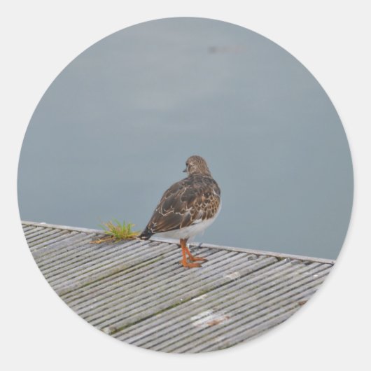 Steenloper Ronde Sticker (Voorkant)