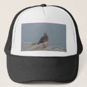 Steenloper Trucker Pet (Voorkant)