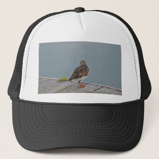 Steenloper Trucker Pet (Voorkant)