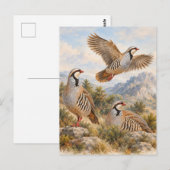 Steenpatrijs Kunst Briefkaart (Voorkant / Achterkant)