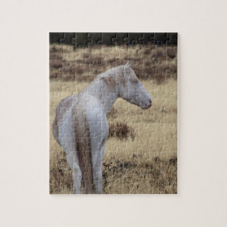 Steens Mustangs Puzzel 