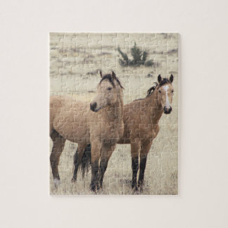 Steens Mustangs Puzzle  Legpuzzel