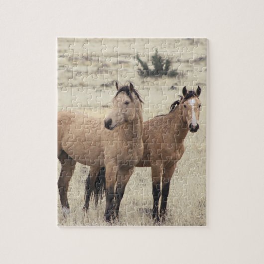 Steens Mustangs Puzzle  Legpuzzel (Verticaal)