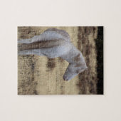 Steens Mustangs Puzzle  Legpuzzel (Horizontaal)