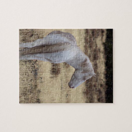 Steens Mustangs Puzzle  Legpuzzel (Horizontaal)