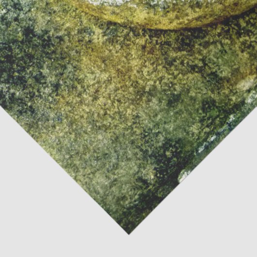 steenschaafpapier tissuepapier (Detail)