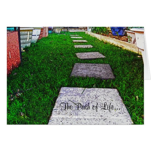 Steenstomen van Shirley Taylor (Voorkant Horizontaal)