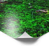 Steenstomen van Shirley Taylor Foto Afdruk (Hoek)