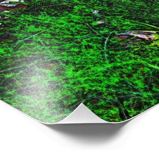 Steenstomen van Shirley Taylor Foto Afdruk (Hoek)