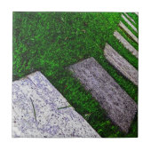 Steenstomen van Shirley Taylor Tegeltje (Voorkant)