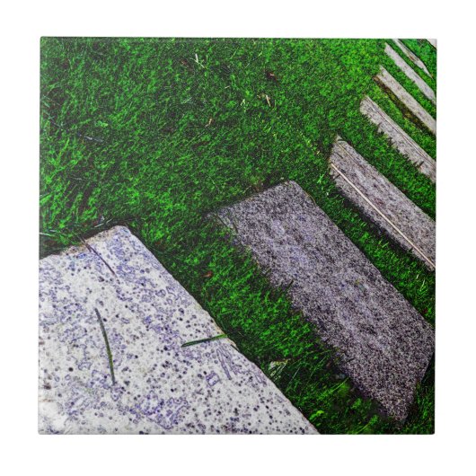 Steenstomen van Shirley Taylor Tegeltje (Voorkant)