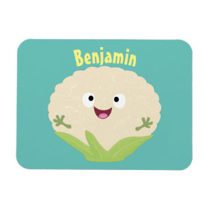 Steenteeltproducten met fijne bloemkool magneet