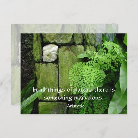 Steentuin: Aristoteles - Briefkaart (Voorkant / Achterkant)