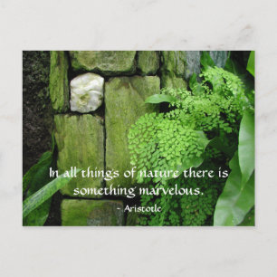 Steentuin: Aristoteles - Briefkaart