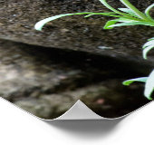 Steentuinbeeld met bloem poster (Hoek)