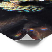 steenvis poster (Hoek)