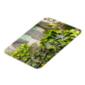 Steenwand met wijnstokken -  flexibel magneet (Linkerzijde)