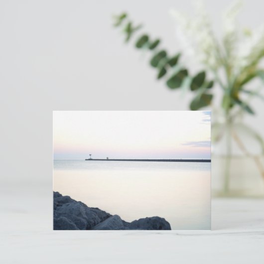 Steenwervel Briefkaart (Staand voorkant)