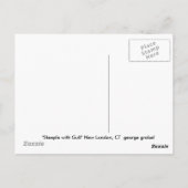 Steeple with Gull Briefkaart (Achterkant)