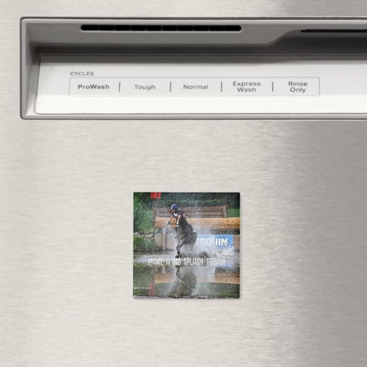 Steeplechase - Maak een Big Splash Magneet (Insitu (Vaatwasser))