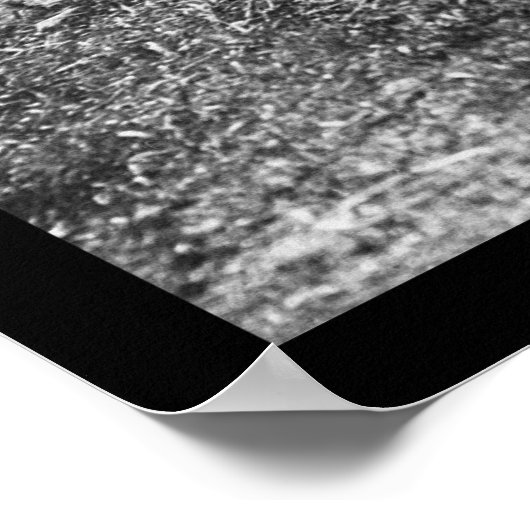 Steeplechase Track 1912 Poster (Hoek)