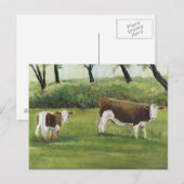 Steer en Calf Art Briefkaart (Voorkant / Achterkant)
