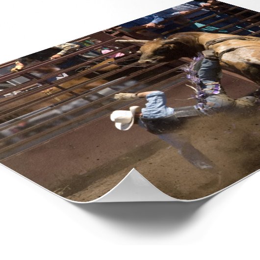 Steer rider neemt een herfst poster (Hoek)