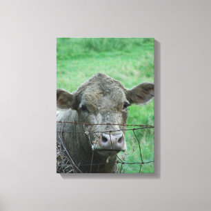 Steer Says Hallo Canvas Afdruk