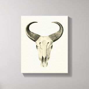 Steer Skull Canvas afdrukken
