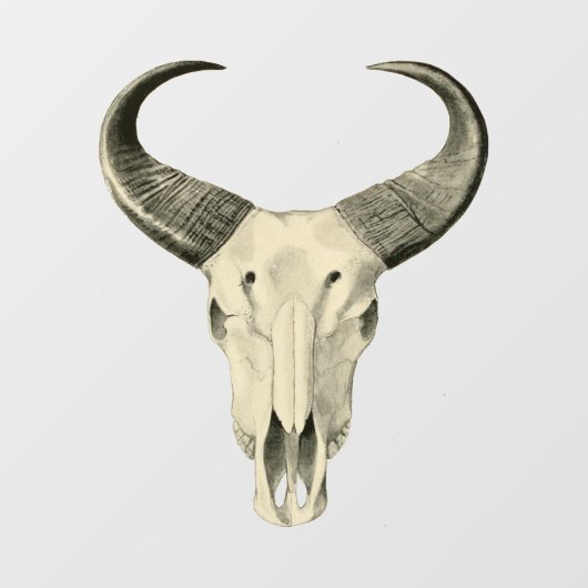 Steer Skull-ramen Raamsticker (Vel)