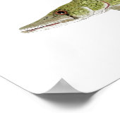 Stegbone's viskamp poster (Hoek)