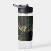 Stegosaurus and Deinonychus With Name Waterfles (Rechts)