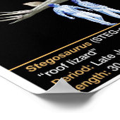 Stegosaurus - Biologie Dinosaurustijdlijn Poster (Hoek)