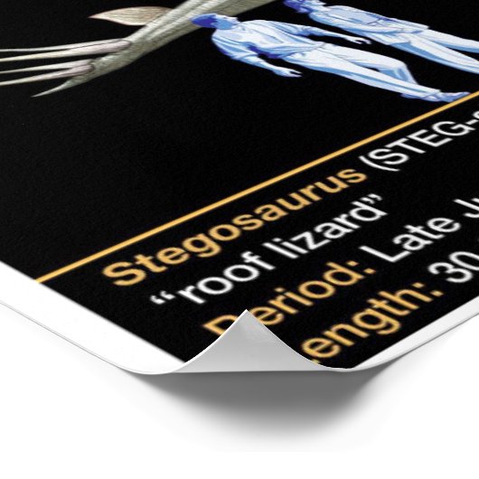 Stegosaurus - Biology Dinosaur Timeline Poster (Hoek)