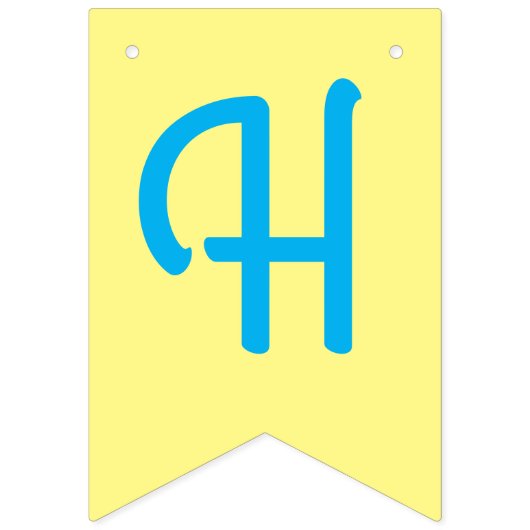 Stegosaurus Dinosaur Birthday Party Vlaggetjes (Tweede vlag)