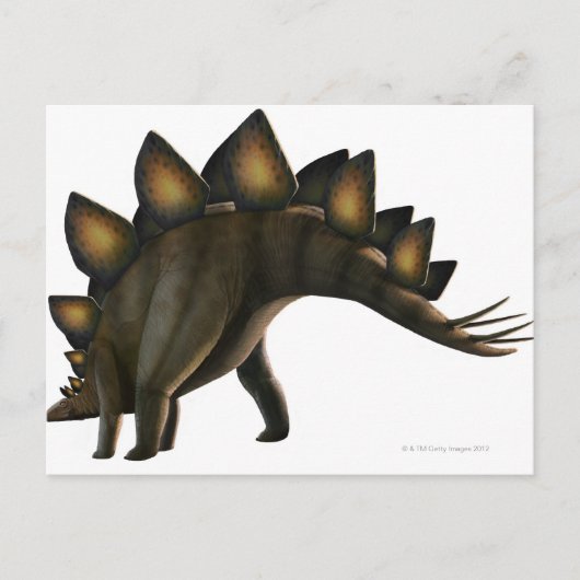 Stegosaurus dinosaur, computerkunstwerk. briefkaart (Voorkant)