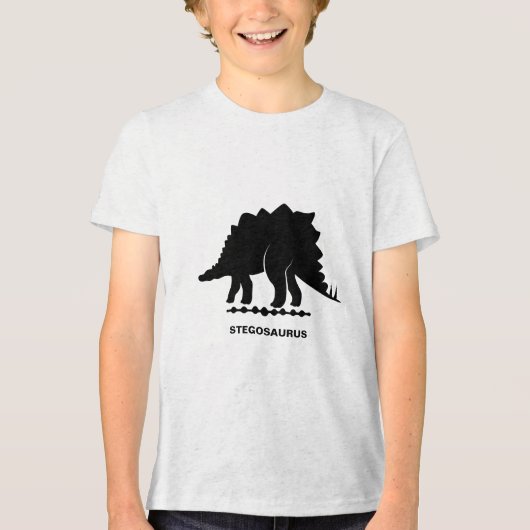 Stegosaurus Dinosaur Silhouette Tri-Blend Shirt (Voorkant)