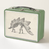 Stegosaurus Dinosaur Skeleton Fossil (Voorkant)