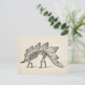 Stegosaurus Dinosaur Skeleton Fossil Briefkaart (Staand voorkant)