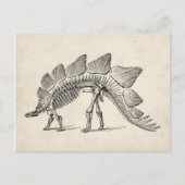 Stegosaurus Dinosaur Skeleton Fossil Briefkaart (Voorkant)