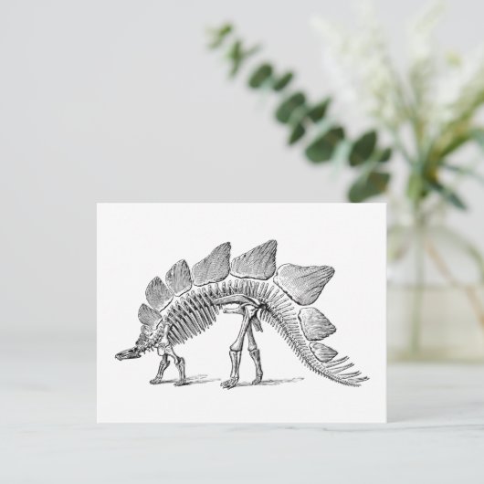 Stegosaurus Dinosaur Skeleton Fossil Briefkaart (Staand voorkant)