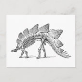 Stegosaurus Dinosaur Skeleton Fossil Briefkaart (Voorkant)