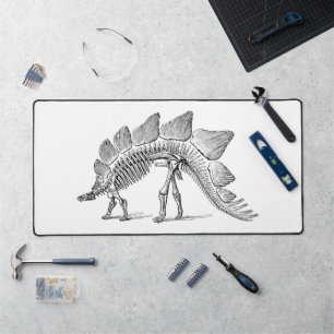 Stegosaurus Dinosaur Skeleton Fossil Bureaumat