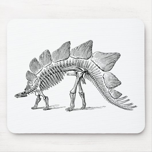 Stegosaurus Dinosaur Skeleton Fossil Muismat (Voorkant)