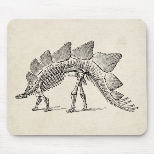 Stegosaurus Dinosaur Skeleton Fossil Muismat (Voorkant)