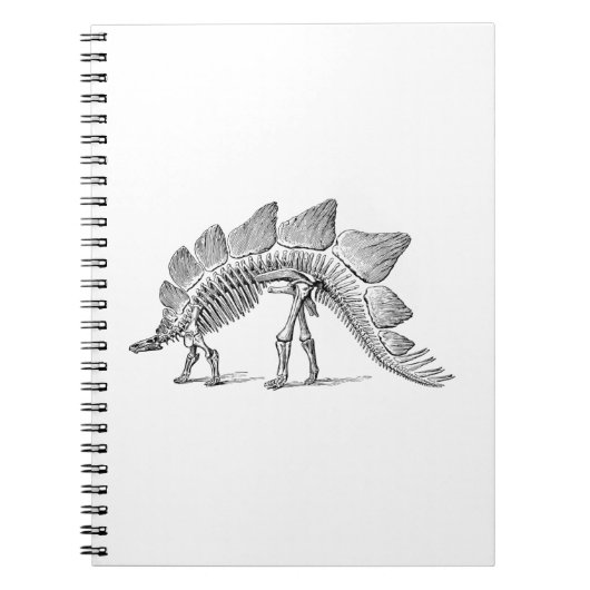Stegosaurus Dinosaur Skeleton Fossil Notitieboek (Voorkant)