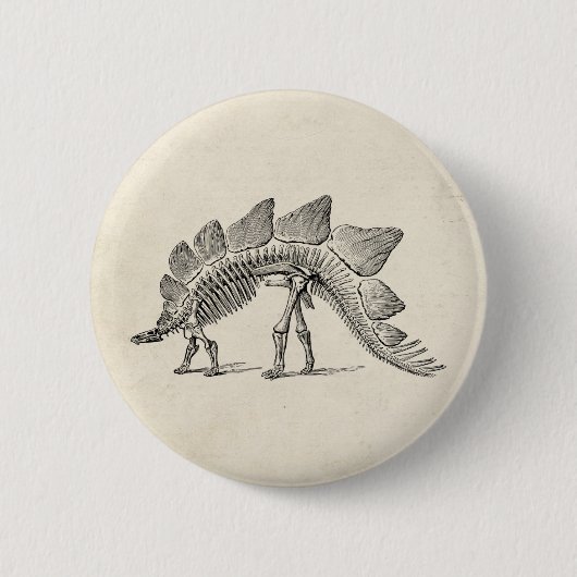 Stegosaurus Dinosaur Skeleton Fossil Ronde Button 5,7 Cm (Voorkant)