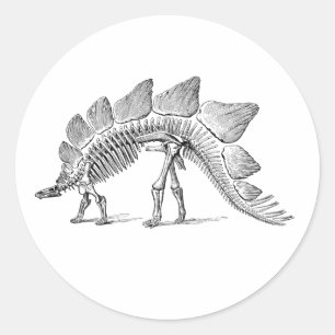 Stegosaurus Dinosaur Skeleton Fossil Ronde Sticker