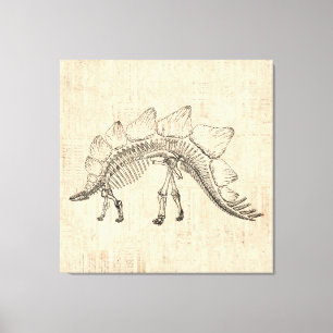 Stegosaurus Dinosaur Skeleton  Script Paper Canvas Afdruk